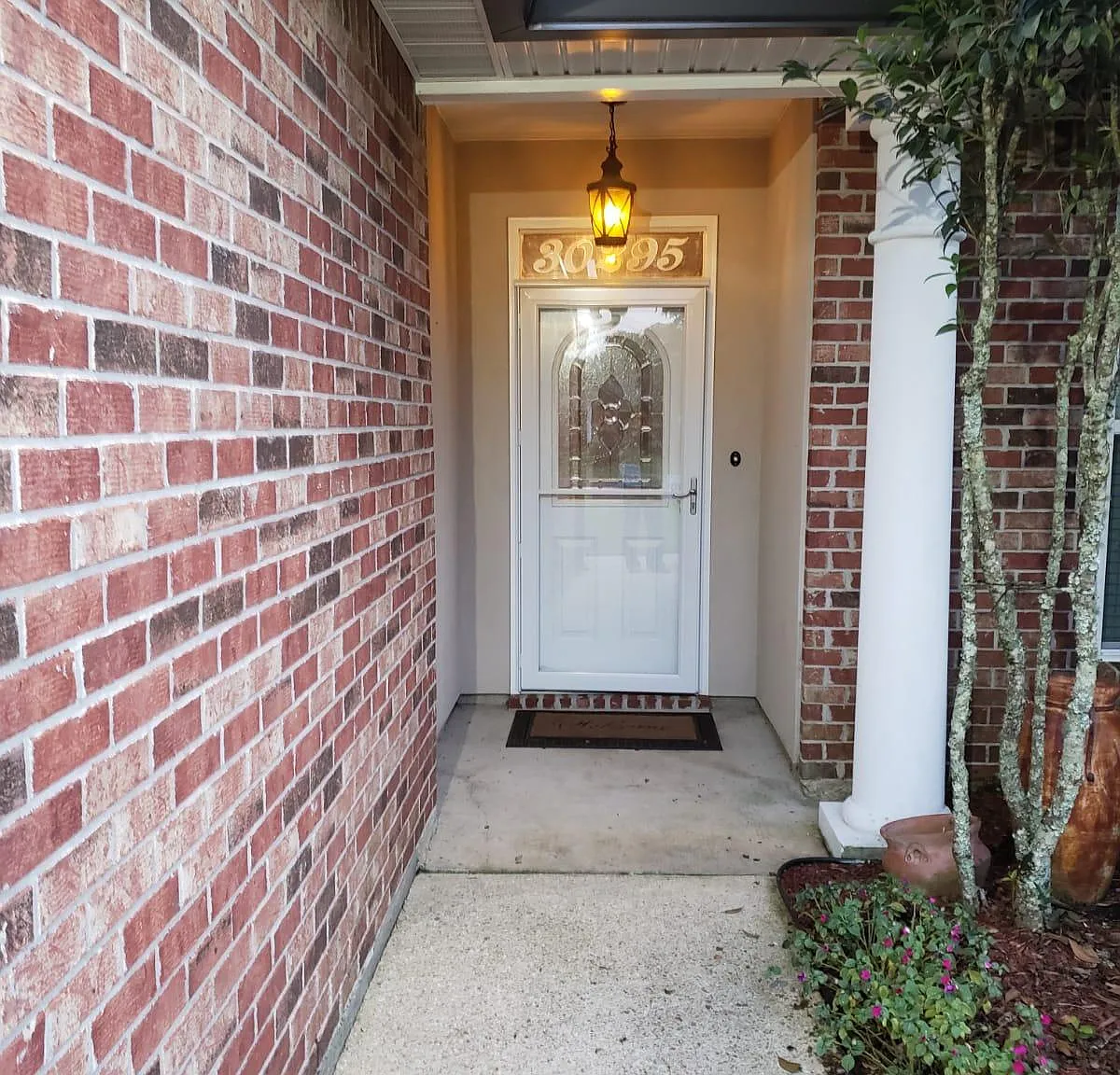 30295 White Egret St — Photo 3