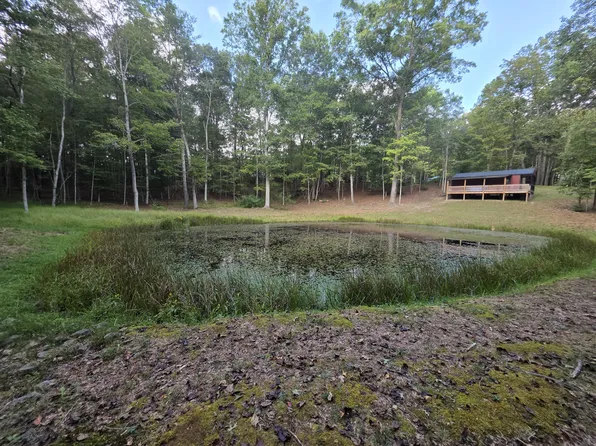 White Pine Ln, Frankford, WV 24938