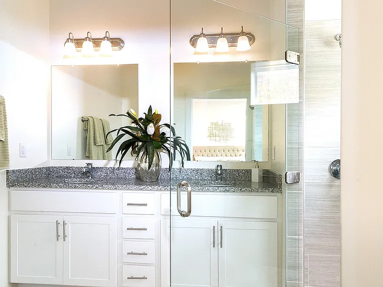 Primary Suite Bath