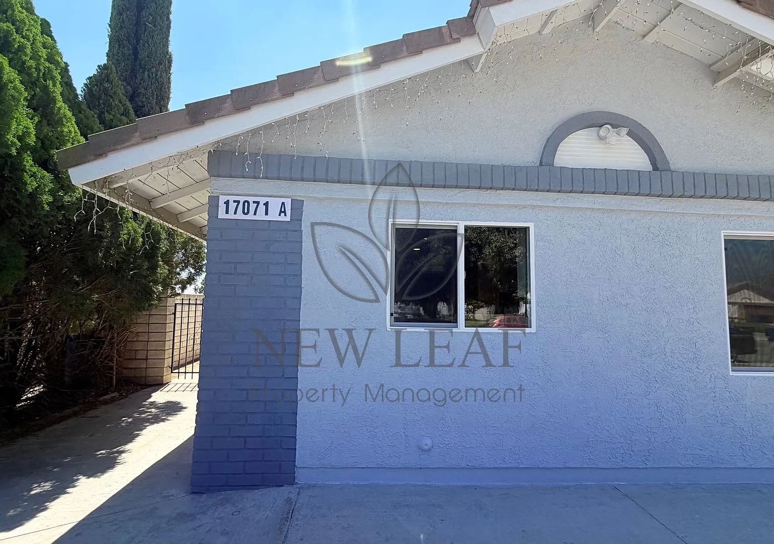 Adu Fontana Ca — Photo 4