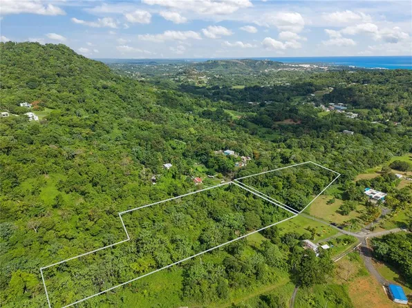 MATA DE PLATANO, LUQUILLO, PR 00773