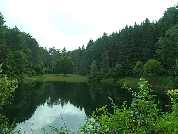 Large Pond