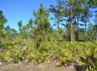 1602 W 14th St, Lehigh Acres, FL 33972