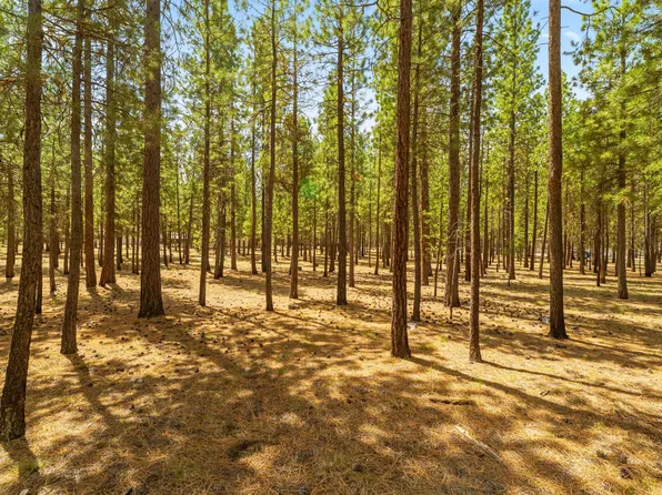 51986 Black Pine Way, La Pine, OR 97739