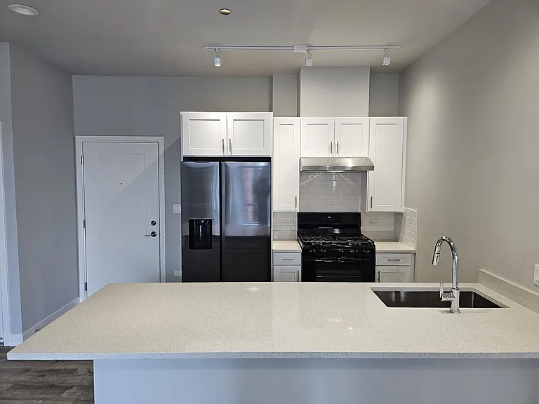 2807 S Halsted St #310 — Photo 11