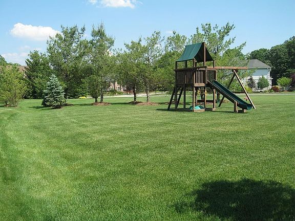 Grassy play area