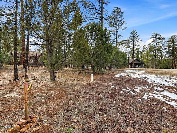 4th image of 2480 Narrow Leaf Ln