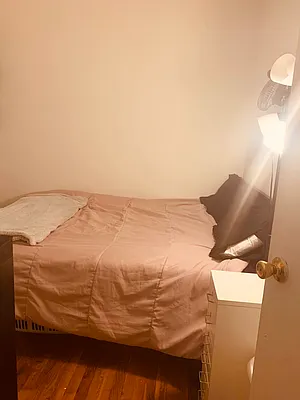 Rented by Voro NYC | media 19