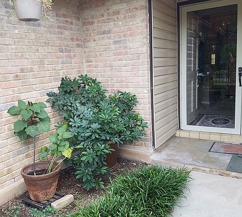 3rd image of 9251 Braswell St