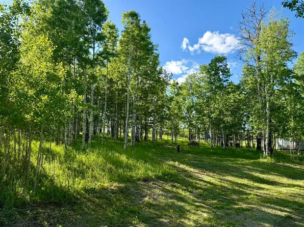5228 State Highway 579 #3, Mountain View County, AB T0M 2E0