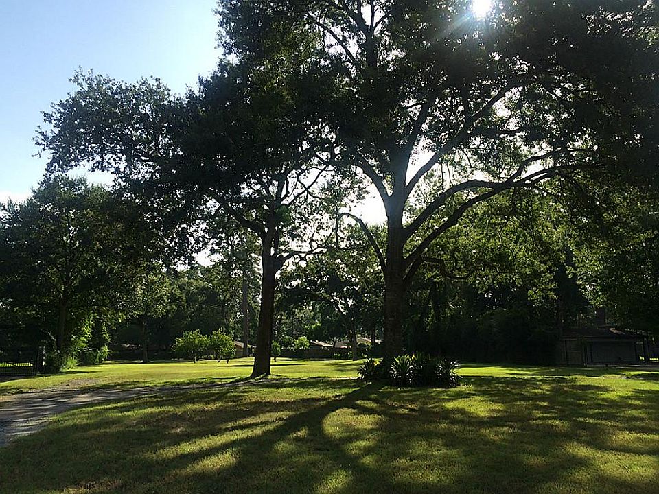 View from front of the property. Front trees are gorgeous and will make a new home look very establi