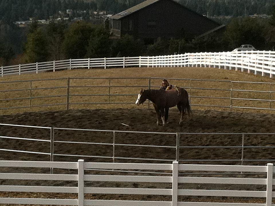 1st image of 15505 233rd Ave E