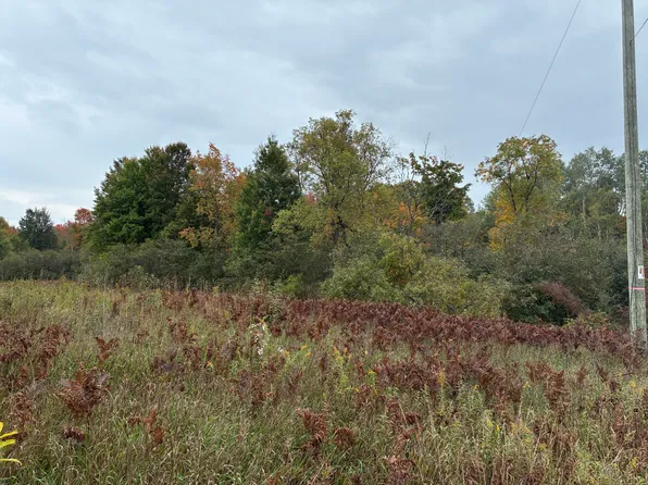 10430 N Elm Ave, Paris, MI 49338