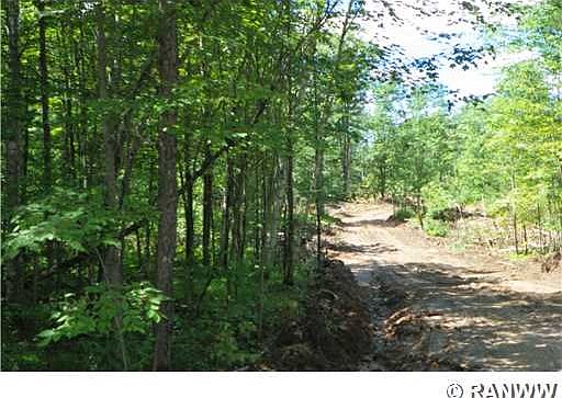 5th image of 40Acres Edgewood Drive
