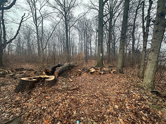 5th image of 7800 Beechwood Ave