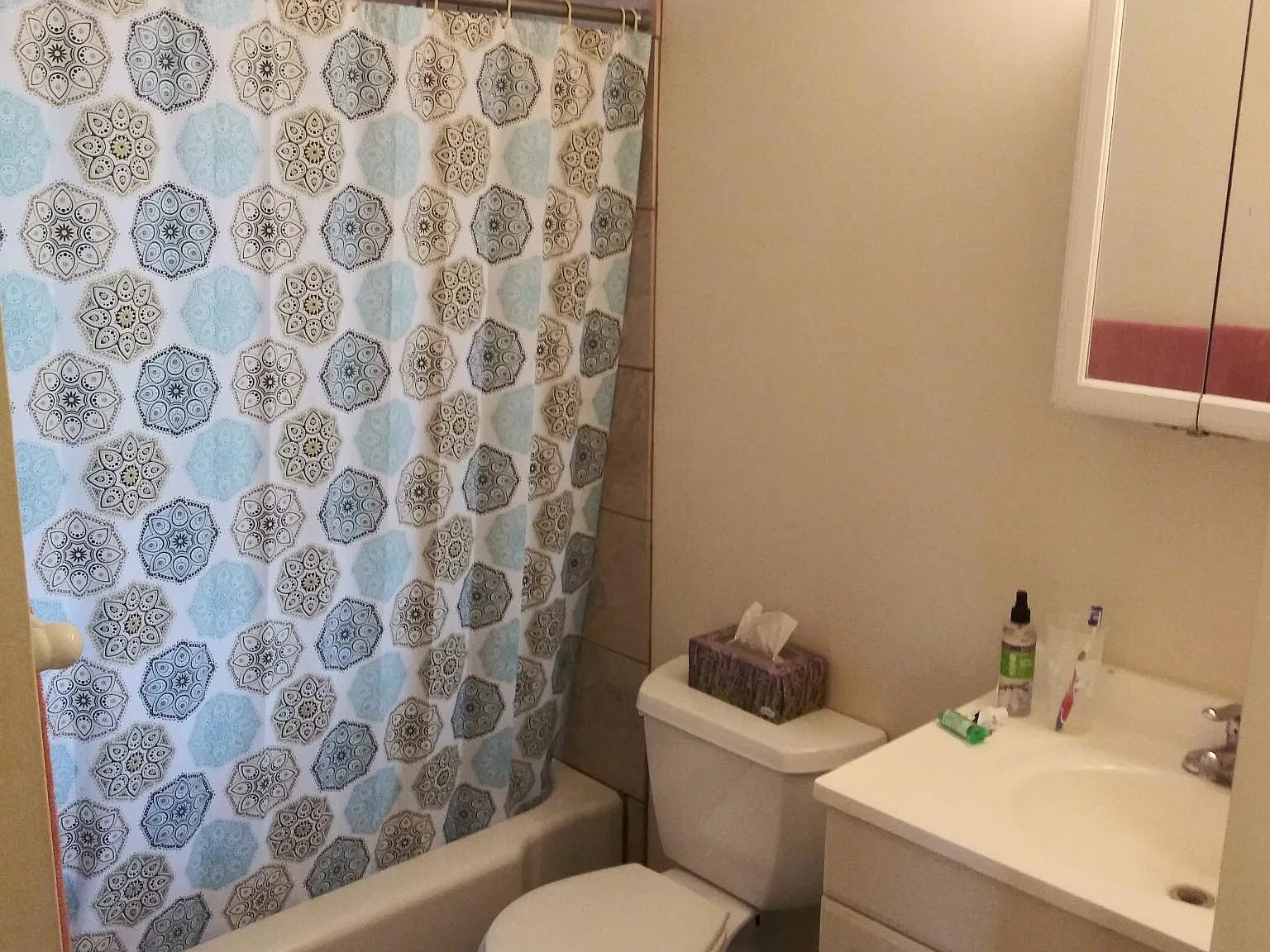 1 bed, 700 sqft, $975 — Photo 2