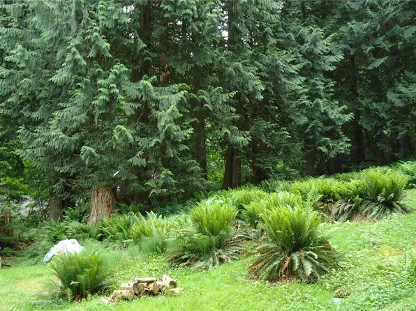 14 Woodpecker Place, Bellingham, WA 98229