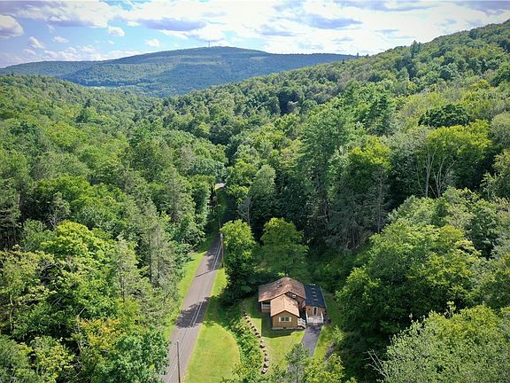 3rd image of 283 Pepacton Hollow Rd