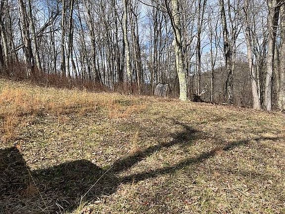 3rd image of 81 Bub Park Rd
