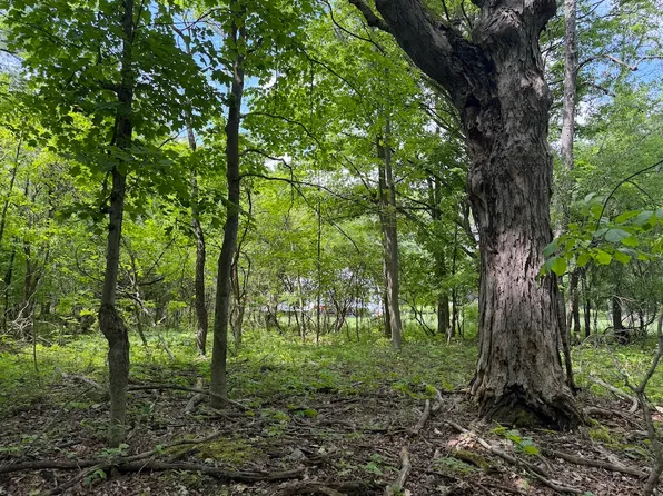 Reed Rd Lot Wp001, Dansville, NY 14437