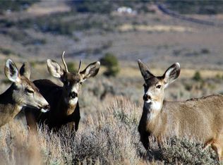 Cul De Sac McDonnell Rd, Fort Garland, CO 81133