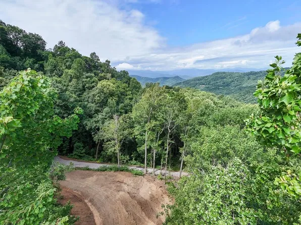 50 Falls View Dr, Bryson City, NC 28713