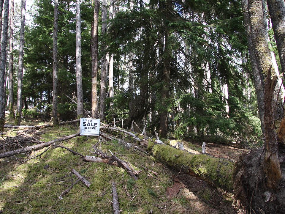 2nd image of Great Location Lot 100x100 In Sunset Beach #Taxlot1406