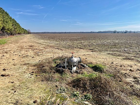 5th image of Countess Rd