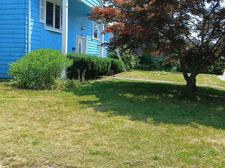 35 Forestdale Dr — Photo 2