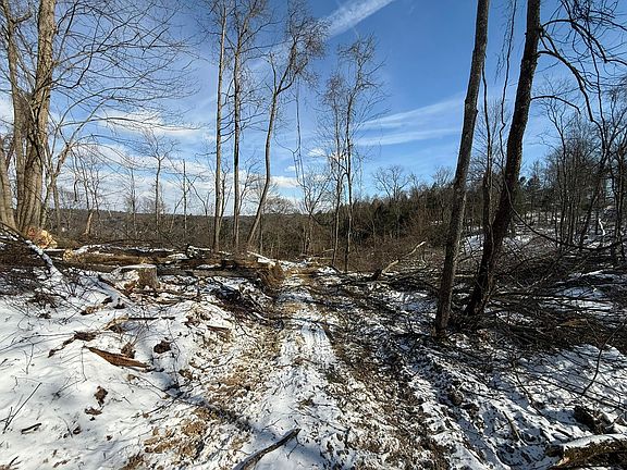 2nd image of Summerville Rd