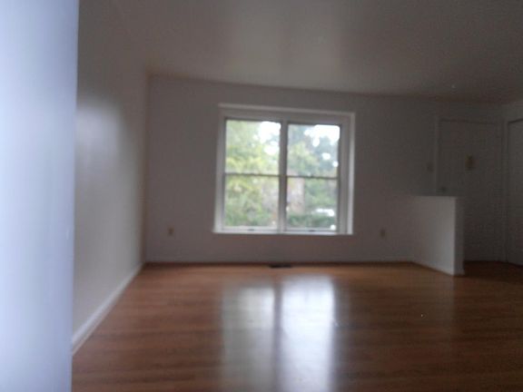 sunny living room