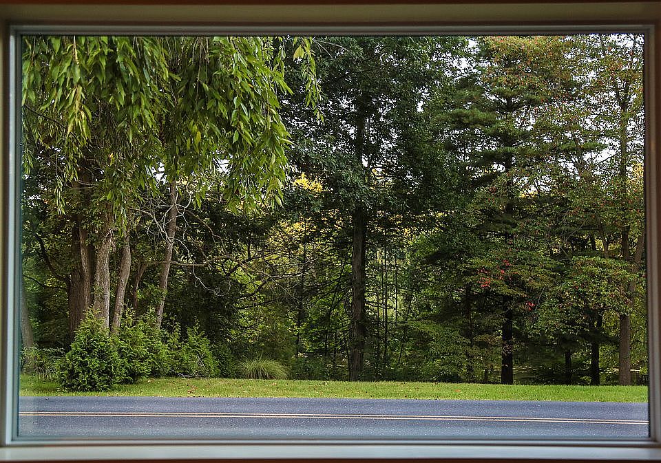 Dining Window View; Creek