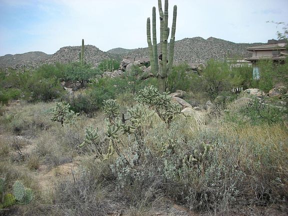 4th image of 1218 W Tortolita Mountain Cir
