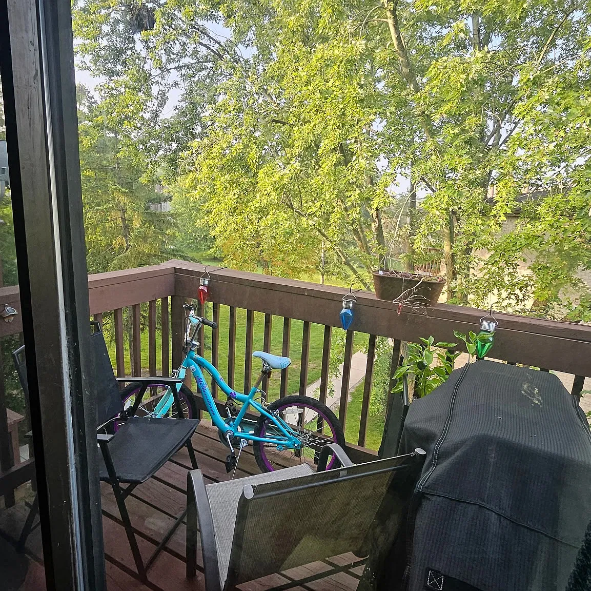 2 bed, 900 sqft, $1,599 — Photo 3
