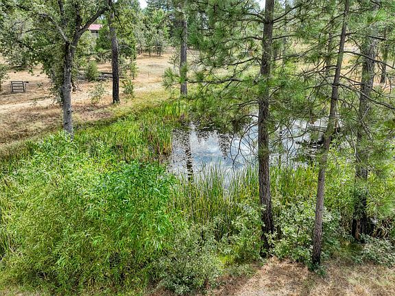 5th image of 34344 Shaver Springs Rd