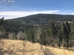 2802 Yorktown Rd, Cripple Creek, CO 80813