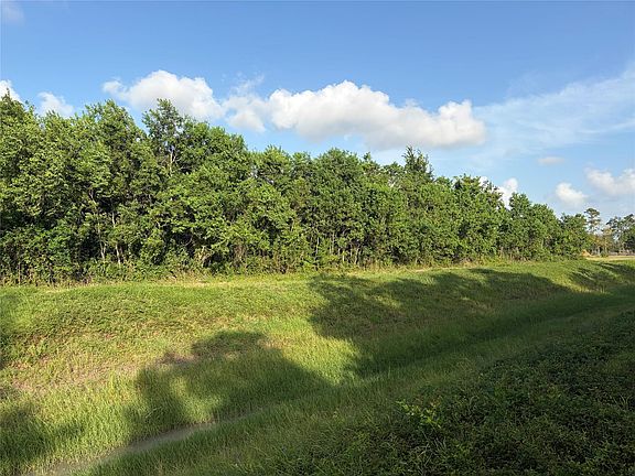 4th image of Rice Rd