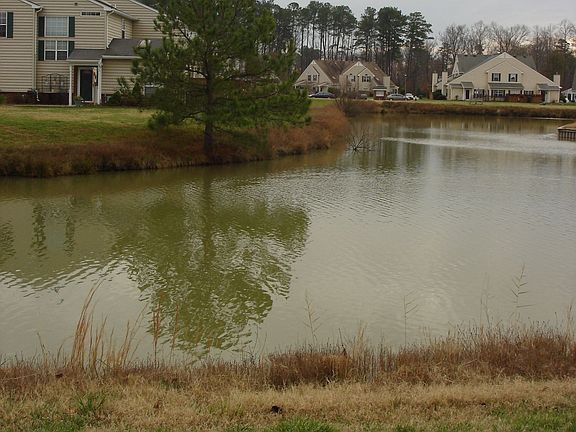 View of the Pond