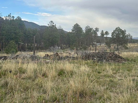 4th image of 32 Dry Creek Dr