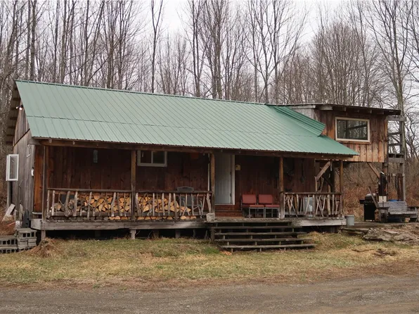 5156 Carr Rd #53, Willet, NY 13863