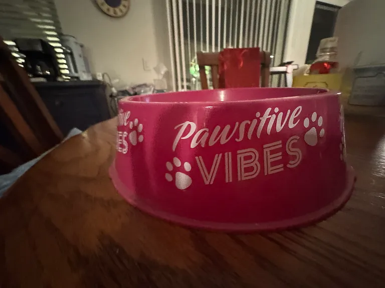 Doggie friendly!
