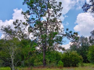 LOT 26 179th Ln, Live Oak, FL, 32060