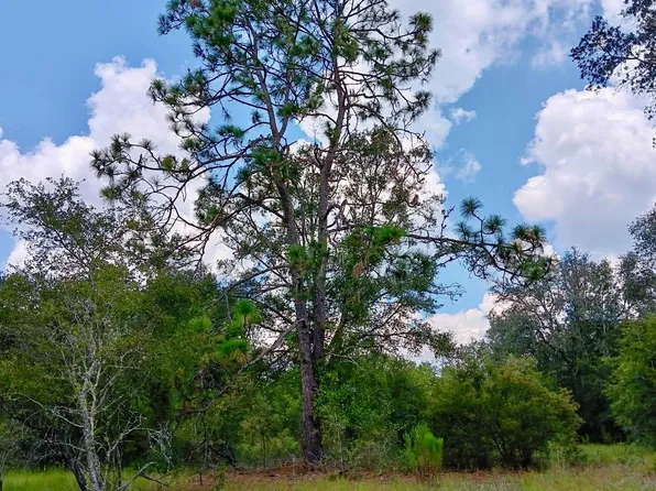 LOT 26 179th Ln, Live Oak, FL 32060