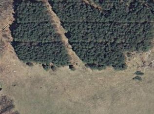 Jefferson Rd, Morley, MI 49336