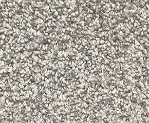 Carpet Mohawk Raise The Bar Island Taupe