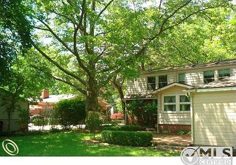 Beautiful Treed Yard