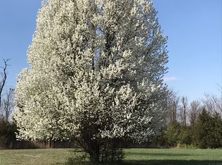 509 N Broadway St, Carl Junction, MO 64834