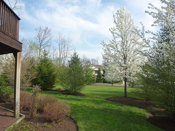 Back Landscaping