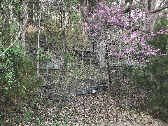 3rd image of 8293 Beaver Shores Dr