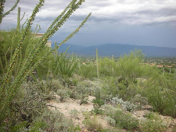 5th image of 9830 E Sabino Estates Dr